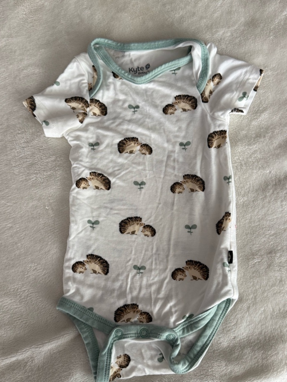 Kyte BABY White Onsie with Brown Hedgehog Print and Mint Trim